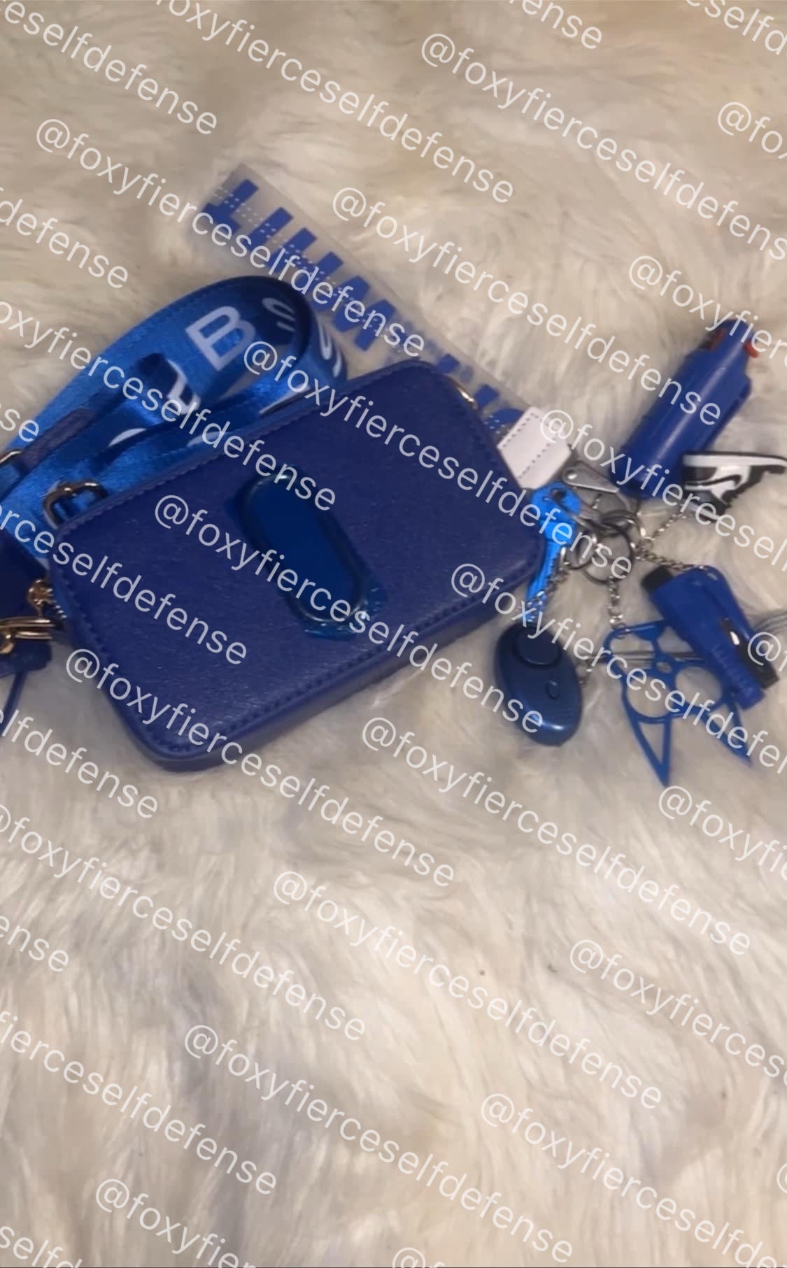 Handbags W/Keychain